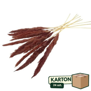 24op*10szt trawy pampasowe Jaxx wys:70-75cm