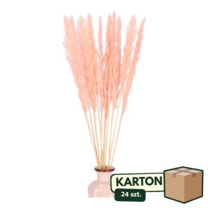 24op*10szt trawy pampasowe Jaxx wys:70-75cm