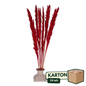 24op*10szt trawy pampasowe Jaxx wys:70-75cm