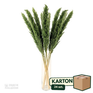 24op*10szt trawy pampasowe Jaxx wys:70-75cm
