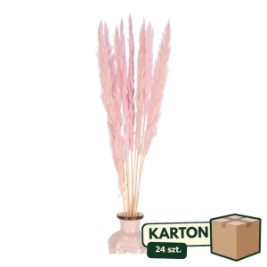 24op*10szt trawy pampasowe Jaxx wys:70-75cm