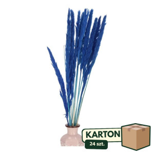 24op*10szt trawy pampasowe Jaxx wys:70-75cm