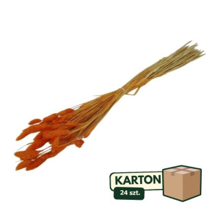 24op*50G phalaris suszony wys:70-75cm