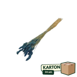 24op*50G phalaris suszony wys:70-75cm