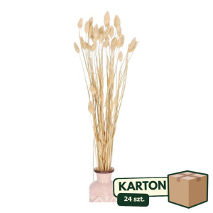 24op*50G phalaris suszony wys:70-75cm