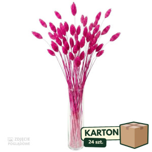 24op*50G phalaris suszony wys:70-75cm