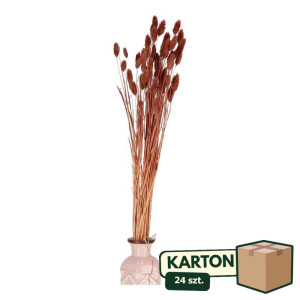 24op*50G phalaris suszony wys:70-75cm