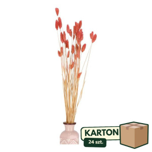 24op*50G phalaris suszony wys:70-75cm