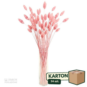 24op*50G phalaris suszony wys:70-75cm