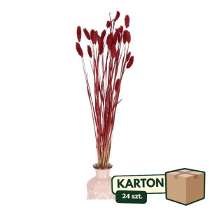 24op*50G phalaris suszony wys:70-75cm