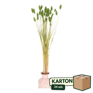 24op*50G phalaris suszony wys:70-75cm