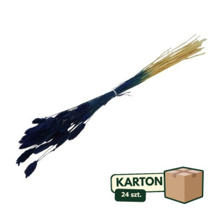 24op*50G phalaris suszony wys:70-75cm