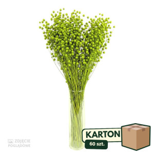 60op*70g suszony len (CHN) barwiony