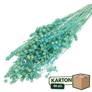 60op*70g suszony len (CHN) barwiony