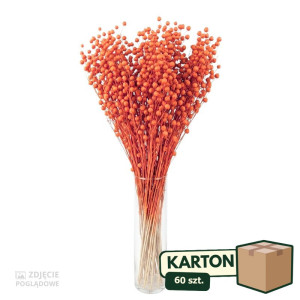 60op*70g suszony len (CHN) barwiony