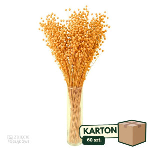 60op*70g suszony len (CHN) barwiony
