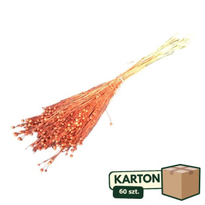 60op*70g suszony len (CHN) barwiony