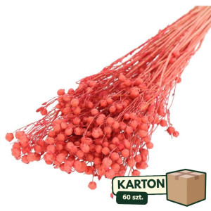 60op*70g suszony len (CHN) barwiony