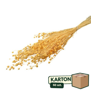 60op*70g suszony len (CHN) barwiony