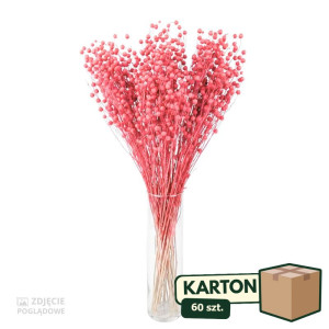 60op*70g suszony len (CHN) barwiony