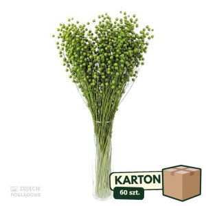60op*70g suszony len (CHN) barwiony