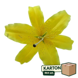 864szt główki lilii szer:24cm