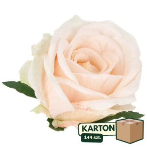 144szt główki róży 3D szer:10cm wys:8cm