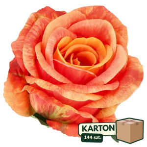 144szt główki róży 3D szer:10cm wys:8cm