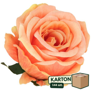 144szt główki róży 3D szer:10cm wys:8cm