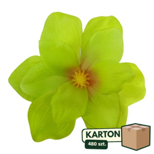 480szt główki magnolii szer:20cm