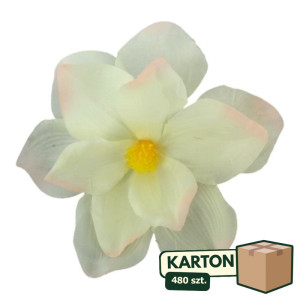 480szt główki magnolii szer:20cm