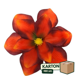 480szt główki magnolii szer:20cm