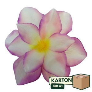 480szt główki magnolii szer:20cm