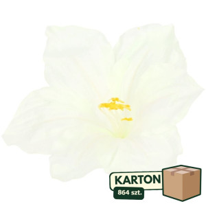 864szt główki hibiskus szer:20cm