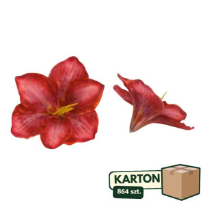 864szt główki hibiskus szer:20cm