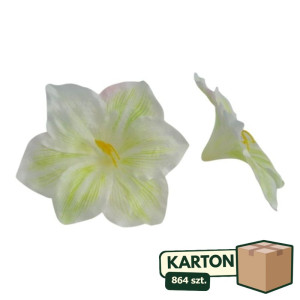 864szt główki hibiskus szer:20cm