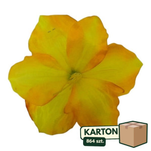 864szt główki hibiskus szer:20cm