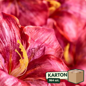 864szt główki hibiskus szer:20cm