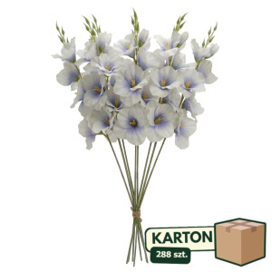 288szt mieczyki wys:50cm
