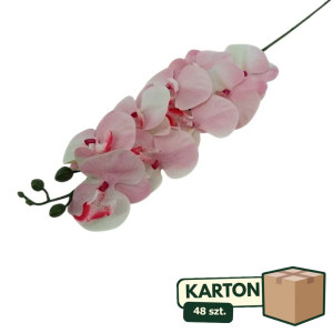 48szt storczyk premium gumowany (9) wys:100cm