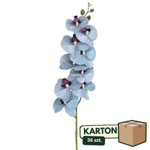36szt storczyk gumowany(9) wys:100cm szer:16cm