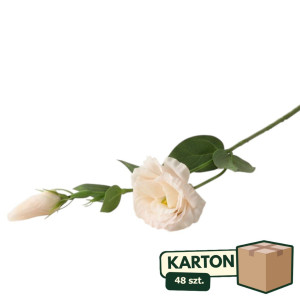 48szt piki eustoma z pakiem wys:48cm