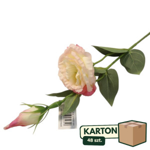 48szt piki eustoma z pakiem wys:48cm