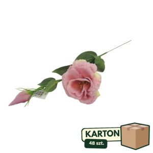 48szt piki eustoma z pakiem wys:48cm