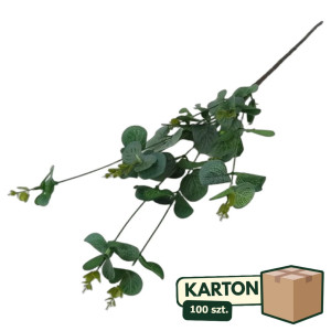 100szt pik - gałązka liściasta eukaliptus wys:68cm