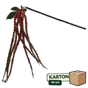 60szt gałązka dekoracyjna szarłat wys:87cm