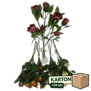 120szt Sztuczny pik florystyczny wypełniacz kompozycji wys:41cm mix kolorów
