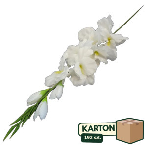 192szt Mieczyk sztuczny biały florystyczny wys:80cm
