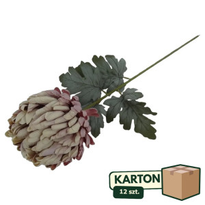 12szt chryzantema na łodydze wys: 75cm szer: 14cm