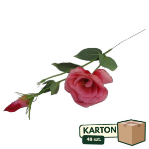 48szt piki eustoma z pakiem wys:48cm